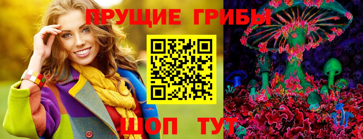 Карталы  Псилоцибиновые грибы прущие грибы  Вход с VPN 